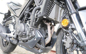 YAMAHA MT-25 RG74J
