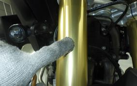 TRIUMPH TIGER 1200 RALLY 2024