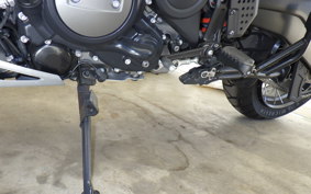 HARLEY ﾊﾟﾝ AMERICA1250S 2021