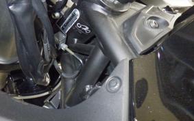KAWASAKI NINJA H2 SX SE 2019