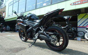 YAMAHA YZF-R25 RG10J