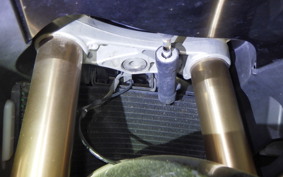 TRIUMPH DAYTONA 675 ABS 2017