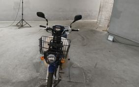 HONDA SUPER CUB50 AA07