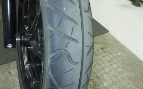 SUZUKI V-STROM 250