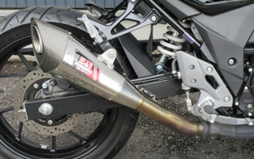 SUZUKI GSX250 R DN11A