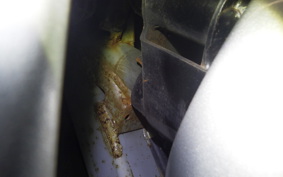 SUZUKI LET's 4 2020 CA45A