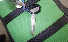 KAWASAKI KLX250D TRACKER 2007 LX250E