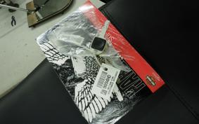 HARLEY FXLRST1920 2025