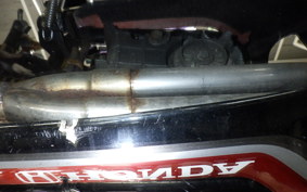 HONDA JADE 2024 MC23