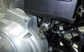 HARLEY XLH883