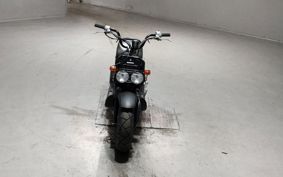 HONDA ZUMAR AF58