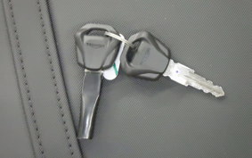 TRIUMPH DAYTONA660 2025