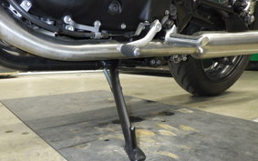 TRIUMPH BONNEVILLE T100 2024