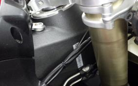 DUCATI 1299 PANIGALE 2015