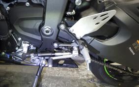 KAWASAKI NINJA ZX-6R A 2025 ZX636J