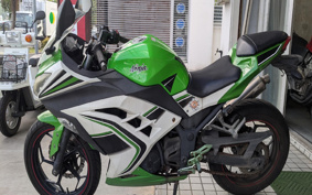 KAWASAKI NINJA 250 EX250L