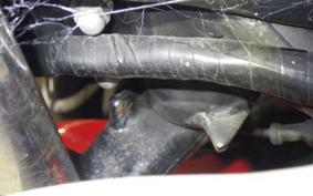 HONDA CBR250R A 2023 MC41