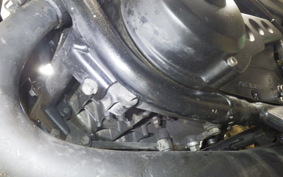 YAMAHA RZ250R 2013 29L