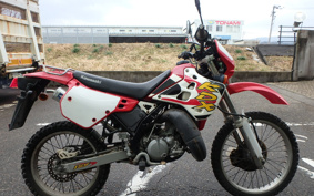 KAWASAKI KDX125 SR DX125B