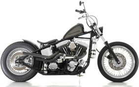 HARLEY Kit Bike 2016 611