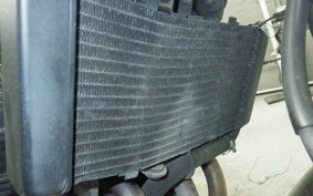 HONDA CB400SF VTEC K 2025 NC42