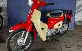 HONDA SUPER CUB110 JA44