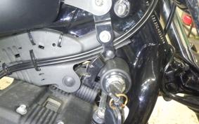 HARLEY XL883N 2013