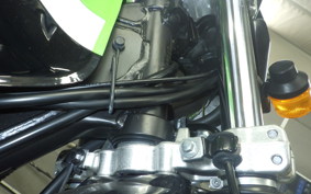 KAWASAKI SUPER SHERPA KL250G