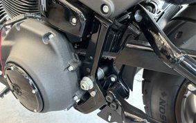 HARLEY FXLRS 2022 YWZ