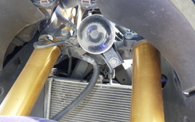 YAMAHA YZF-R25