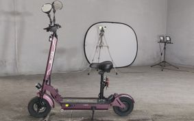 OTHER  BLAZE  SMART EV ..