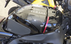 YAMAHA XSR900 2023 RN80J