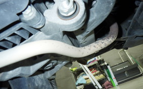 HONDA TACT-4ﾍﾞｰｼｯｸ 2011 AF75