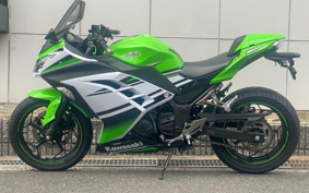 KAWASAKI NINJA 250 EX250L