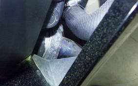 KAWASAKI GPX750 R 1986 ZX750F