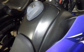YAMAHA WR250X 2024 DG15J