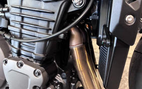 TRIUMPH SPEED TRIPLE 1200RX 2026 P12S4X