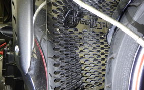 TRIUMPH STREET TRIPLE R 2019