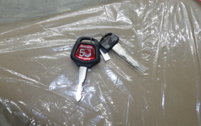 HONDA C50 SUPER CUB 2009 AA09