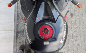 KAWASAKI NINJA ZX-14 2010 ZXNC13