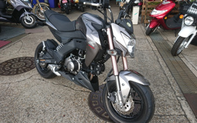 KAWASAKI Z125 PRO BR125H