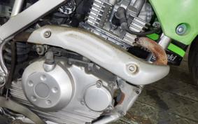 KAWASAKI KLX125 2023 LX125C