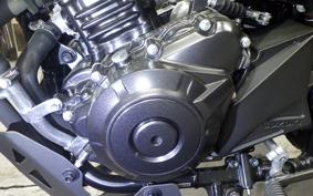 SUZUKI Vｽﾄﾛｰﾑ250A 2023