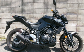 YAMAHA MT-03 2024 RH21J