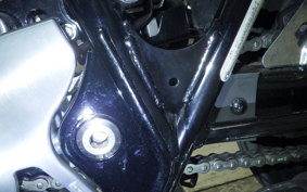 KAWASAKI W800 2024 EJ800E