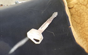 KAWASAKI KLX250 LX250E