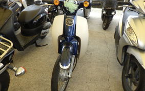 HONDA C110 SUPER CUB JA44