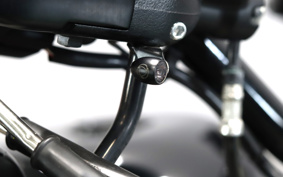 HARLEY XL1200X 2021 LC3