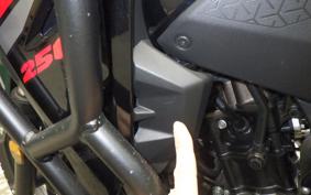 SUZUKI Vストローム250SX 2025 EL11L