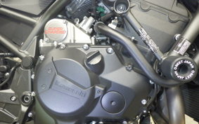 KAWASAKI ZH2 2021 ZRT00K